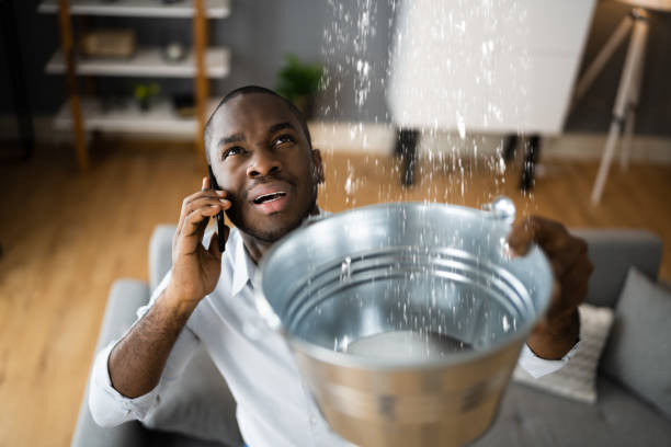 Best 24/7 water damage repair  in Swisher, IA