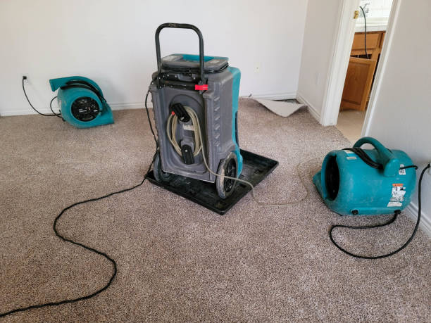 Best Fire Damage Restoration  in Swisher, IA