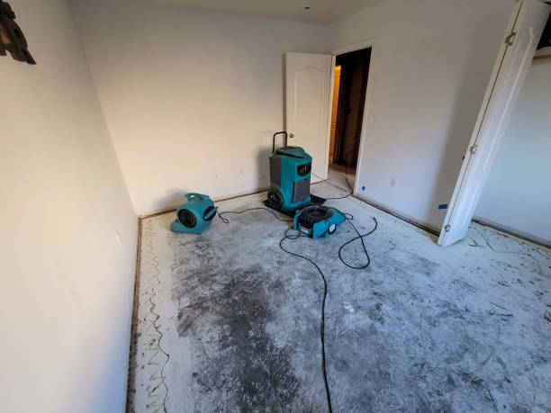 Best Local water damage restoration  in Swisher, IA