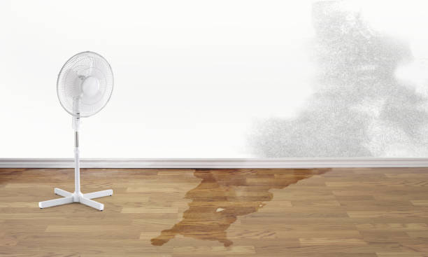 Best Water damage cleanup near me  in Swisher, IA