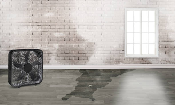 Water damage restoration insurance claims in IA