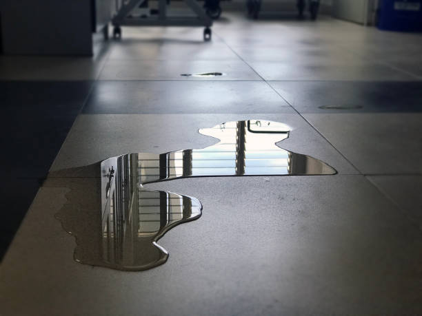 Best 24/7 water damage repair  in Swisher, IA
