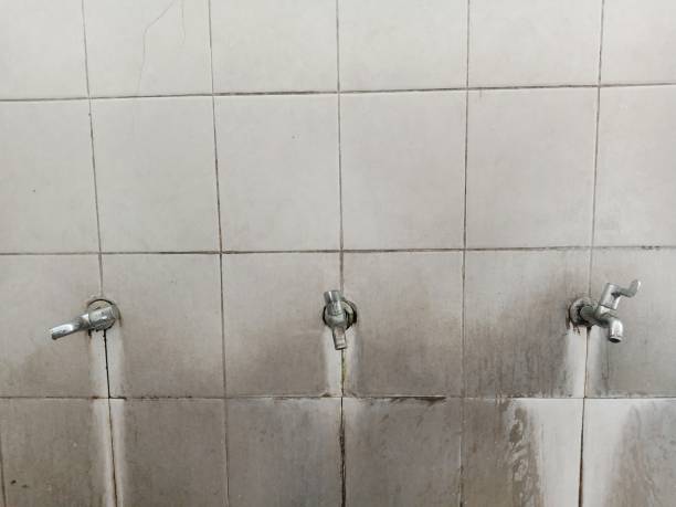 Best Water damage restoration near me  in Swisher, IA
