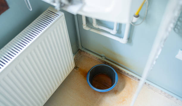 Best Sewage cleanup and water damage restoration  in Swisher, IA