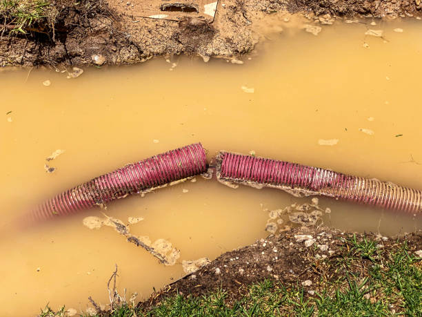 Best Local water damage restoration  in Swisher, IA