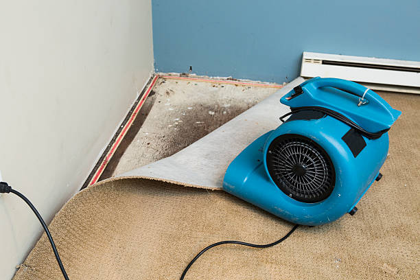 , IA Water damage restoration Company