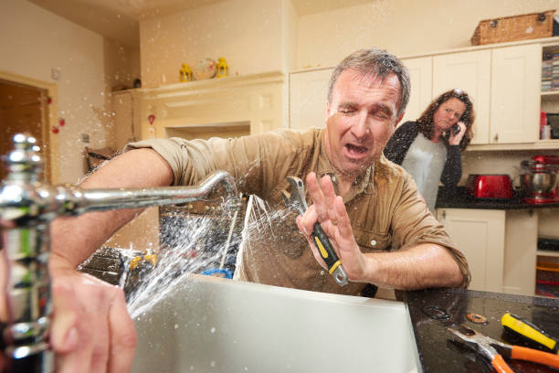 Best Carpet water damage restoration  in Swisher, IA